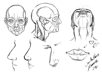 L'étude du corps humain virgule ou le plaisir d'explorer le dessin pour plus de qualité.